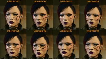 Dakota appearance replacement