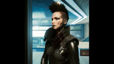 High neck waistcoat-custom variant