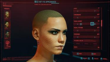 Cyberpunk Scar Collection