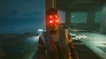 Panam-alternative face and hair