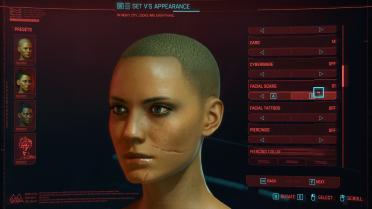 Cyberpunk Scar Collection