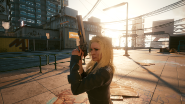 Malorian Arms 3516 customized version