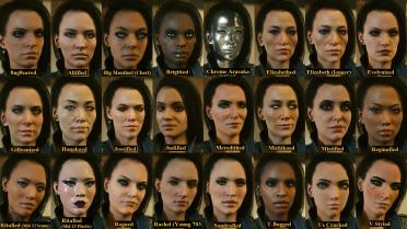 Dakota appearance replacement