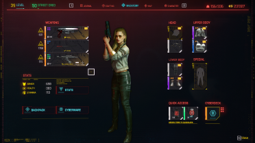 2077 Rogue Hairstyle