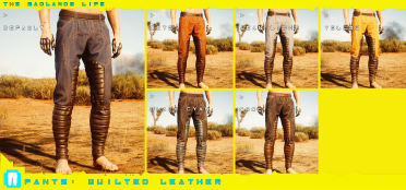 Wasteland Life (Male V)
