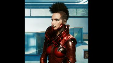 High neck waistcoat-custom variant