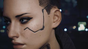 Takemura's web software-customized version