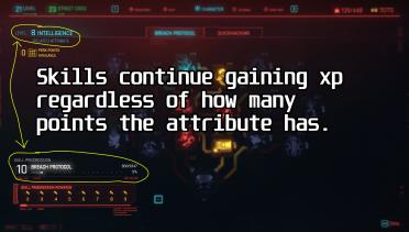 Skills always gain experience points