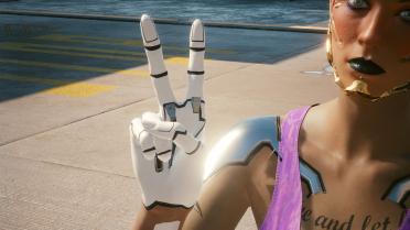 Alt Cyberarms variant library and its accessories