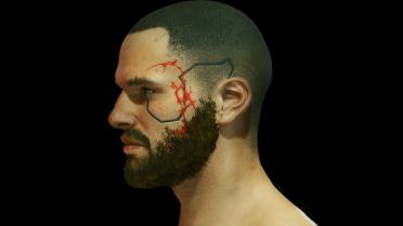 Mass Effect-Facial Tattoo