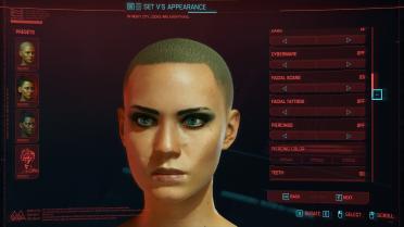 Cyberpunk Scar Collection