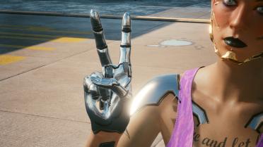 Alt Cyberarms variant library and its accessories