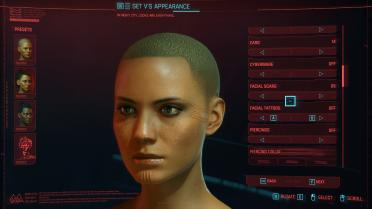 Cyberpunk Scar Collection