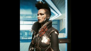 High neck waistcoat-custom variant