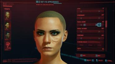 Cyberpunk Scar Collection