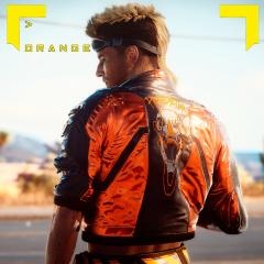 (Clothes) Rogue's jacket