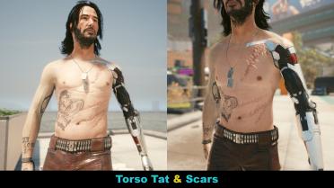 Johnny Reskinned-Tattoos and Scars of Concept Art