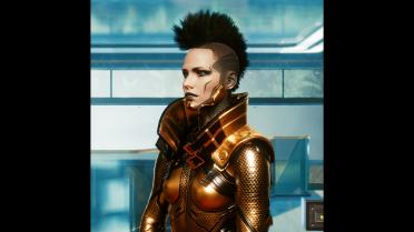 High neck waistcoat-custom variant