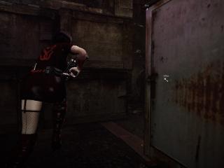 Resident Evil 6 Ada Wong Black Silk Sling Net Stockings