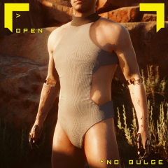 Bodysuit (Male V)