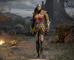 Wonder Woman Paladin