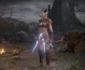 Fallen Amazon Change Head