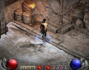 Unrestrained Paladin