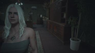 The Witcher 3 Ciri <Night Style>