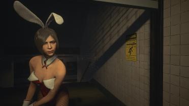 Ada The Super Serious Bunny Spy