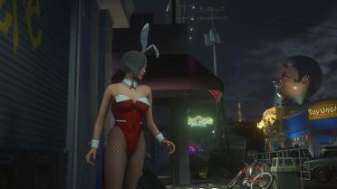 Ada The Super Serious Bunny Spy