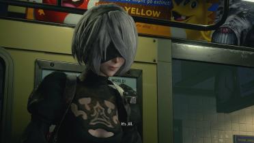 2B or 2P skirt