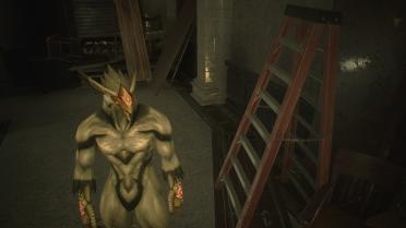 Beastization Fighting EX BOSS Super Beastization: Phoenix