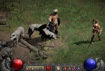 Beggar Glacier Druid