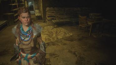 Aloy - Horizon Zero Dawn