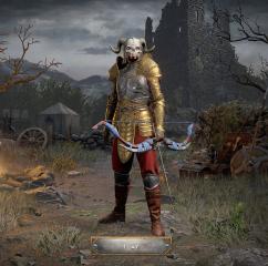 Iron Wolf Mercenary Amazon