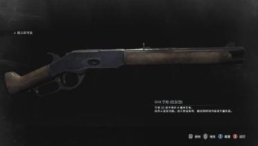 Classic Western Custom