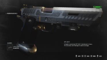 STI 2011 Combat Master - Night Sights