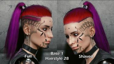 Ponytail and Bun - No Cap