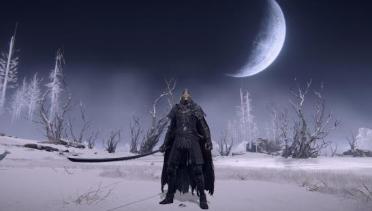 Black Golden Wolf Armor