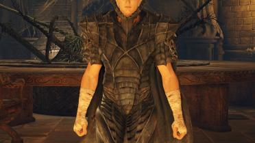 Berserker Armor and Dragon Slayer