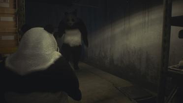 Panda Nemesis