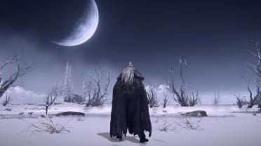 Black Golden Wolf Armor