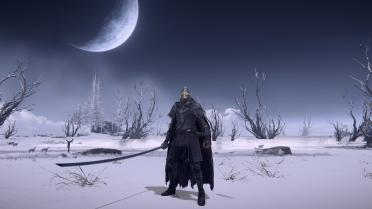 Black Golden Wolf Armor