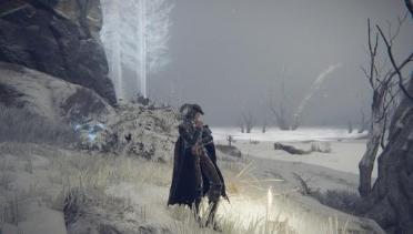 Maria Hunter suit(with physics cape)