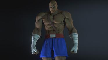 Sagat - Street Fighter V 