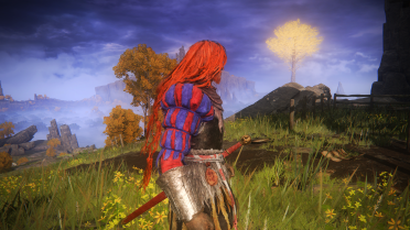 Hair 9 - Radagon's Hairstyle