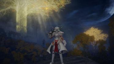 Mordred Armor From Fate Series