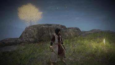 Zamor Hairstyle with Physics