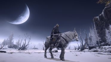 Black Golden Wolf Armor