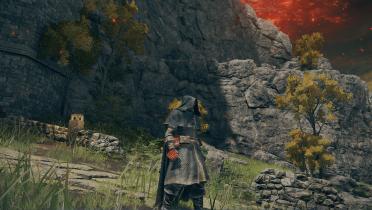 Dark Souls II Reskinned Weapons Pack